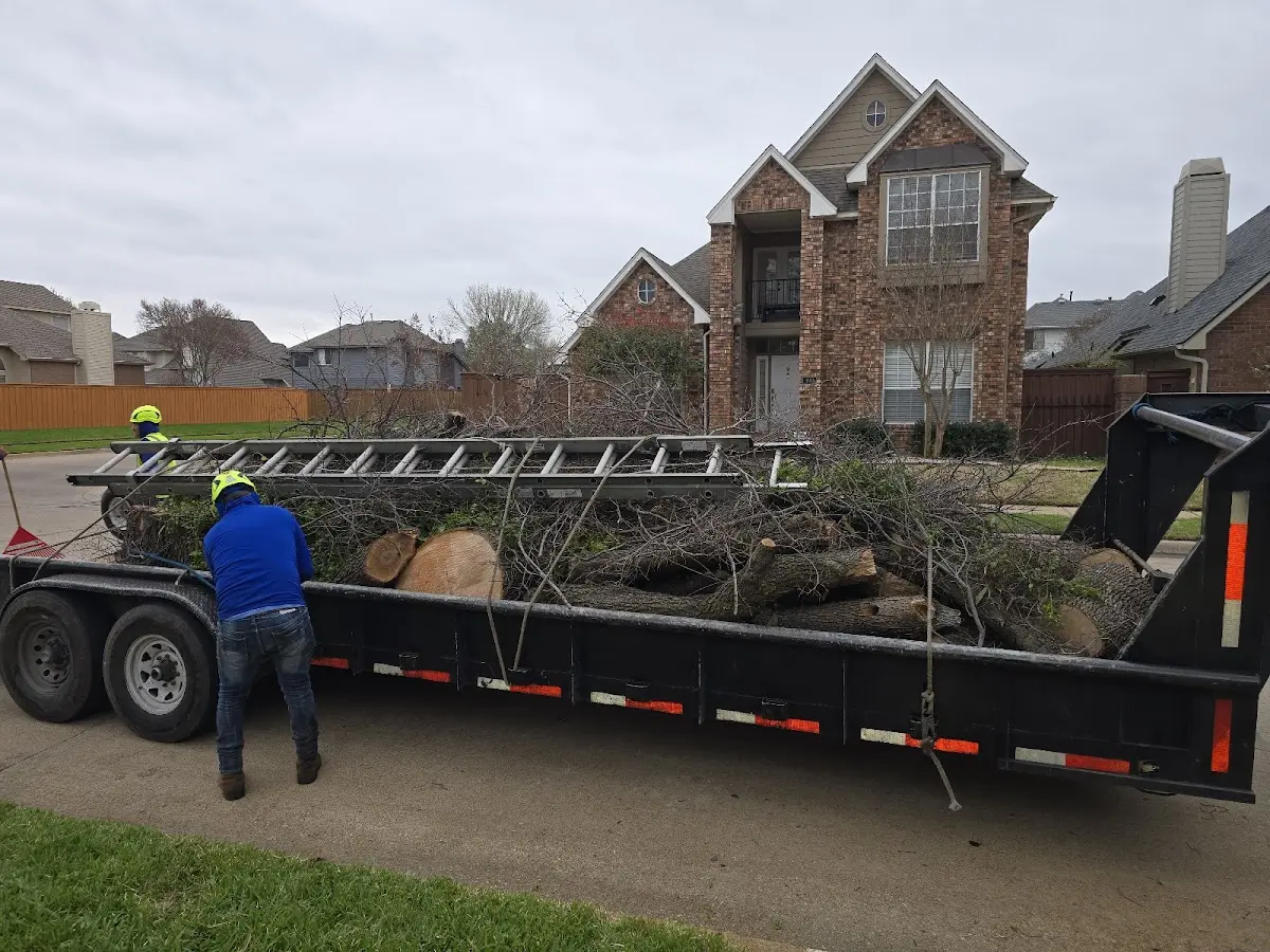 Expert Lot Clearing with proper safety equipment in Port Lavaca